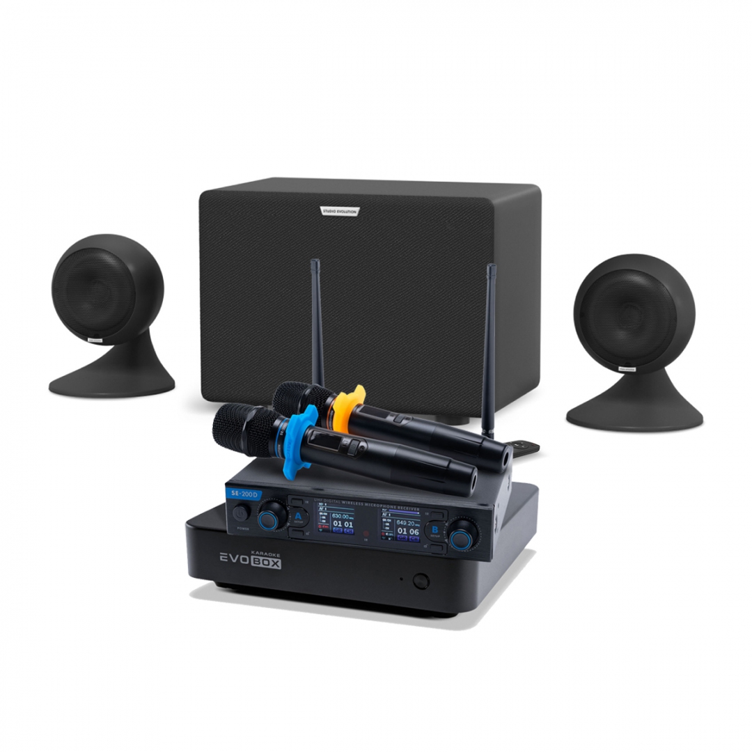 караоке-комплект EVOBOX + EvoSound Sphere 2.1 в Каслях