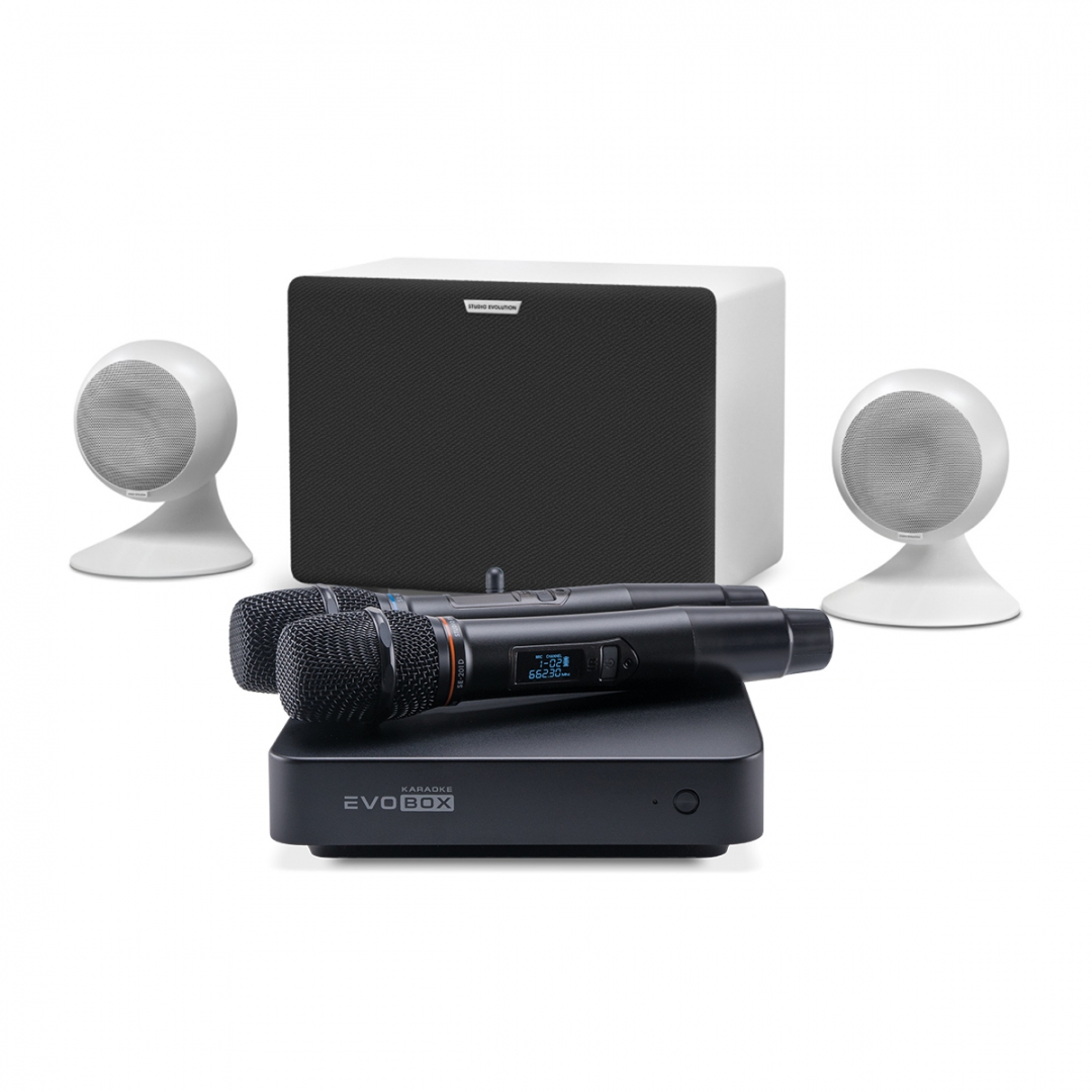 караоке-комплект EVOBOX Classic + EvoSound Sphere 2.1 в Каслях