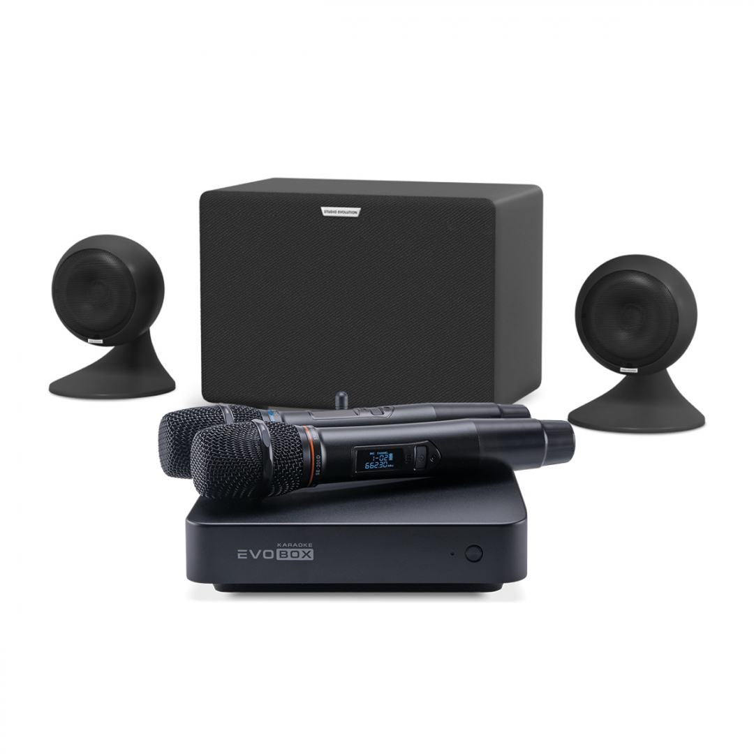 караоке-комплект EVOBOX Plus + EvoSound Sphere 2.1 в Каслях