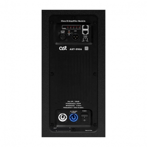 Активная акустическая система AST-310A в Каслях