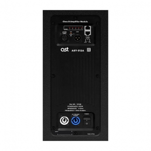 Активная акустическая система AST-312A в Каслях