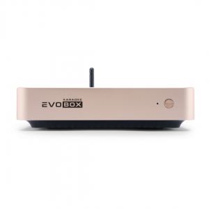 EVOBOX Plus караоке-система для дома в Каслях