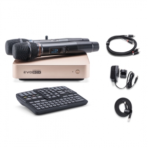 EVOBOX Plus караоке-система для дома в Каслях