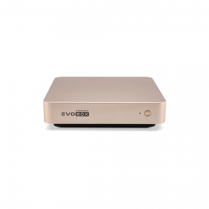 EVOBOX с микрофонами в Каслях